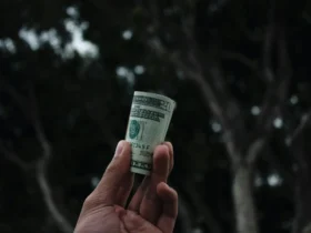 "Entenda Qual Dinheiro Comprar Hoje e Como Proteger seu Patrimônio em Tempos de Incerteza" 13 dinheiro notas comprar